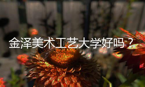 金泽美术工艺大学好吗？