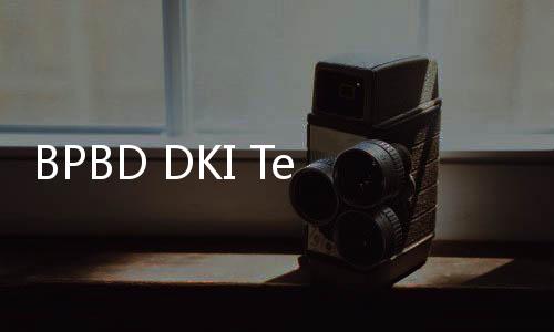 BPBD DKI Terus Upayakan Penanganan Banjir di Jakarta