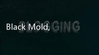 Black Mold, Jamur Hitam yang Suka Hidup di Tembok dan Berbahaya