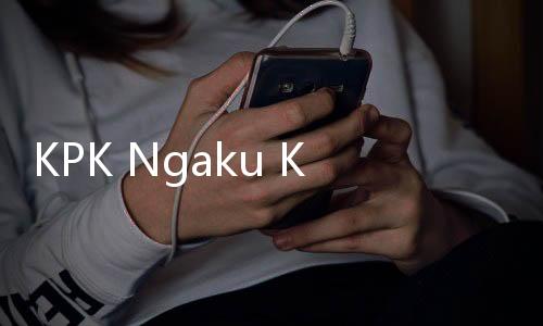 KPK Ngaku Kehilangan Jejak Harun Seteleh Sempat Deteksi Keberadaannya