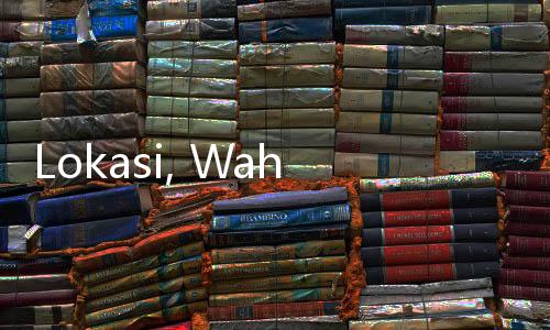 Lokasi, Wahana, dan Harga Tiket Masuk Sea World Terbaru 2024