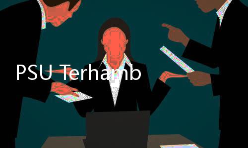 PSU Terhambat Anggaran, Kemendagri Buka Opsi Pembagian Biaya dengan APBN