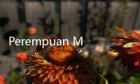 Perempuan Menikah dan Plus Size Bisa Ikut Miss Universe Indonesia 2024