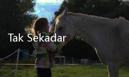 Tak Sekadar Tradisi, Apa yang Dilakukan Umat Hindu saat Nyepi?
