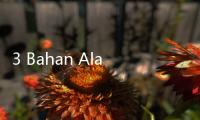 3 Bahan Alami dan Cara Mencegah Kebotakan Dini Usia 30an